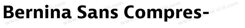 Bernina Sans Compres字体转换